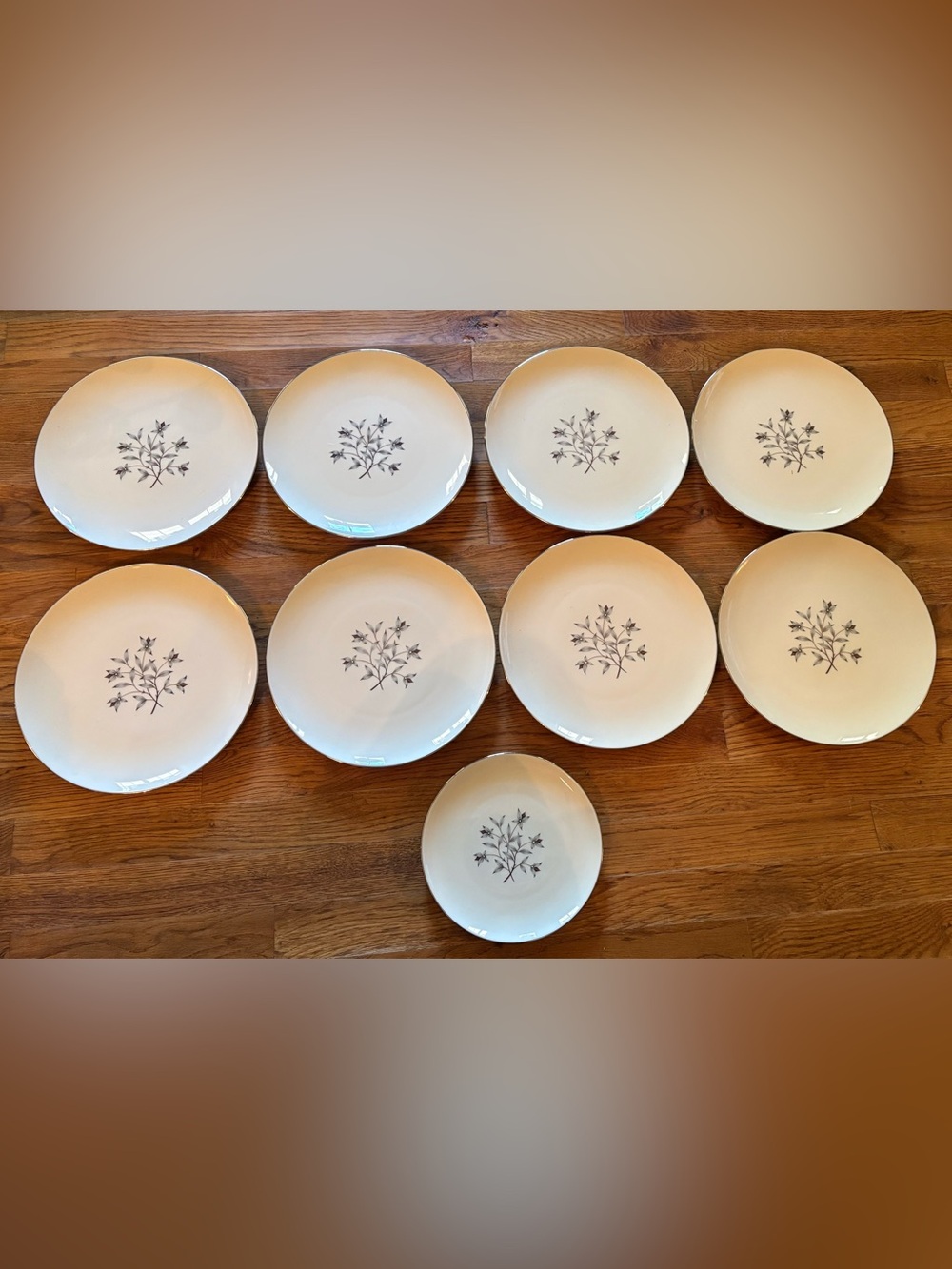 Lenox “Princess” X-516 Dinner Plates (8) and a salad plate